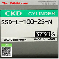 (C)Used, SSD-L-100-25-N Air Cylinder, กระบอกสูบลม สเปค Bore size 100mm ,Stroke length 25mm, CKD