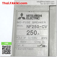 Junk, NF250-CV No fuse Circuit Breaker, โนฟิวส์ เบรกเกอร์ สเปค 3P 200A, MITSUBISHI