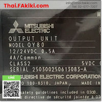 (B)Unused*, QY80 16points, Transistor Output Module, เอ้าท์พุทโมดูล, MITSUBISHI