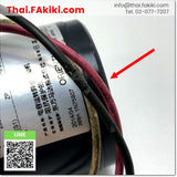 Junk, 2IK6GN-CW2 AC200V Rated Output 6W , Square Flange Dim. A 60mm, Induction Motor, มอเตอร์เหนี่ยวนำ, ORIENTAL MOTOR