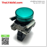 (D)Used*, ZBV-B3 Green, Pilot Light, ไพลอตแลมป์, SCHNEIDER