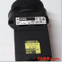 Japan (A)Unused,AR30E0L-11M4G φ30 照光押しボタンスイッチ 突形 白熱球 1a1b AC200-220V,Illuminated Push Button Switch,Fuji