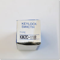 Japan (A)Unused,KM2C-11B φ19 KM形小形鍵付セレクタスイッチ ,Selector Switch,IDEC