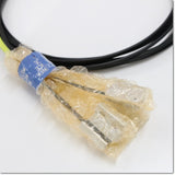 Japan (A)Unused,FU-L54Z　デジタルファイバアンプ ファイバユニット 透過型 ,Fiber Optic Sensor Module,KEYENCE