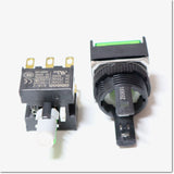 Japan (A)Unused,A165L-AGM-24D-2  照光押ボタンスイッチ AC/DC24V 2c ,Illuminated Push Button Switch,OMRON