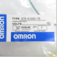 Japan (A)Unused,G79-O100C-75 I/O(1対2) 出力用 ,I / O Relay Terminal,OMRON 