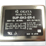 Japan (A)Unused,SUP-EK5-ER-6　ノイズフィルタ ,Noise Filter / Surge Suppressor,Other