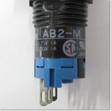 AB2H-M1G  φ12 押ボタンスイッチ 長角形 1c ,Push-Button Switch,IDEC - Thai.FAkiki.com