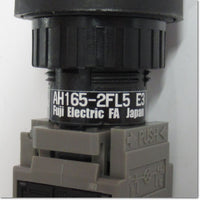 Japan (A)Unused,AH165-2FL5R22E3  照光押しボタンスイッチ 2a2b オルタネイト形 DC24V ,Illuminated Push Button Switch,Fuji