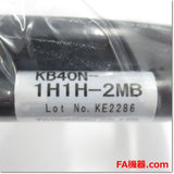 Japan (A)Unused,KB40N-1H1H-2MB  接続ケーブル 40芯ストレート 2m ,Cable,TOGI