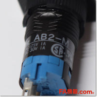 Japan (A)Unused,AB2H-M1G φ12 switch,Push-Button Switch,IDEC 