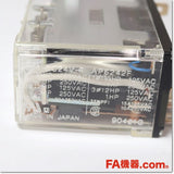 Japan (A)Unused,HG4-DC24V-F [AP6242F]  HGリレー ,General Relay <Other Manufacturers>,Panasonic