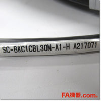 Japan (A)Unused,SC-BKC1CBL30M-A1-H 電磁ブレーキケーブル 高屈曲寿命品 30m,MR Series Peripherals,MITSUBISHI