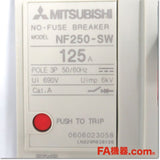 Japan (A)Unused,NF250-SW 3P 125A ノーヒューズ遮断器,MCCB 3 Poles,MITSUBISHI