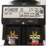 Japan (A)Unused,AM22V0F-11E3R φ22 Fujitsu 1a1b AC/DC24V,Emergency Stop Switch,Fuji 