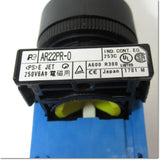 Japan (A)Unused,AR22PR-010B φ22 Japanese filter,Selector Switch,Fuji 