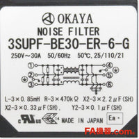 Japan (A)Unused,3SUPF-BE30-ER-6-G 30A,Noise Filter / Surge Suppressor,Other 