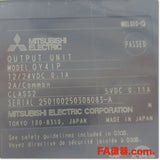 Japan (A)Unused,QY41P トランジスタ出力ユニット 32点,I/O Module,MITSUBISHI