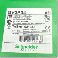 GV2P04 thermal magnetic motor breaker TeSys GV2, Schneider 