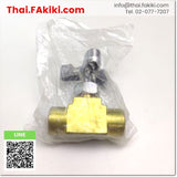 SAN-100 GATE VALVE, gate valve specification Rc1/4, ASK 