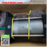 (B)Unused*, CDS1FN180-250 Air Cylinder ,กระบอกสูบลม สเปค Tube inner diameter180mm stroke 250mm ,SMC