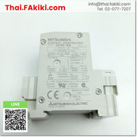 (D)Used*, CP30-BA Circuit Protector, Circuit Protector Specification 2P 2A, MITSUBISHI 